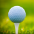 Logotipo del grupo Golf, polo y vela